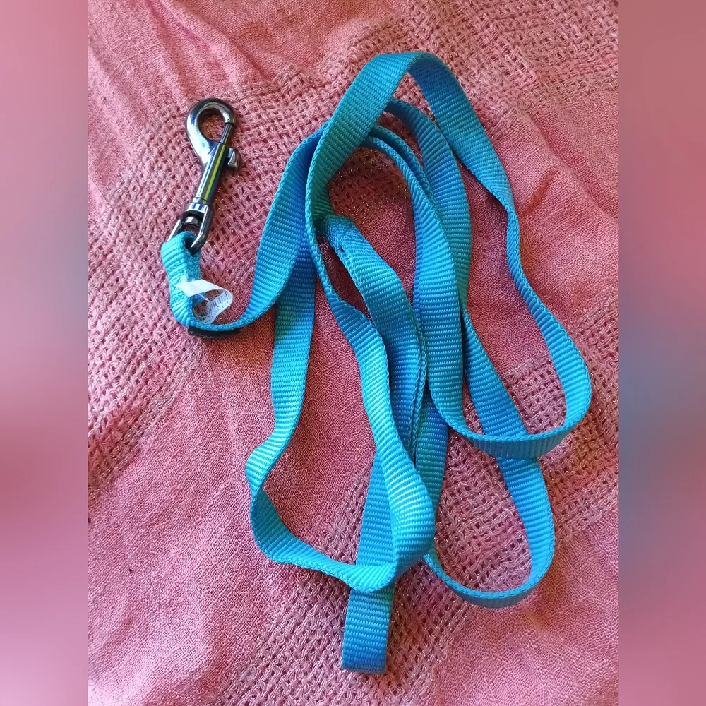 Blue Dog Leash with Metal Clip